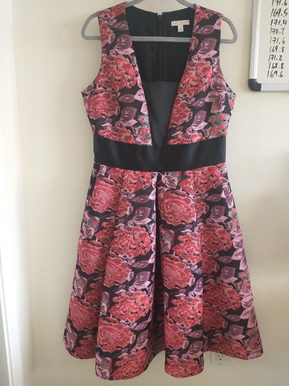 Eva Mendes - New York & Company Black Dress with Pink Floral Print Size 10